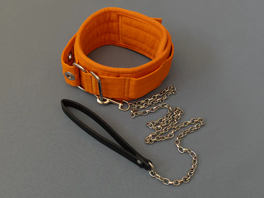 Ошейник (2/10)