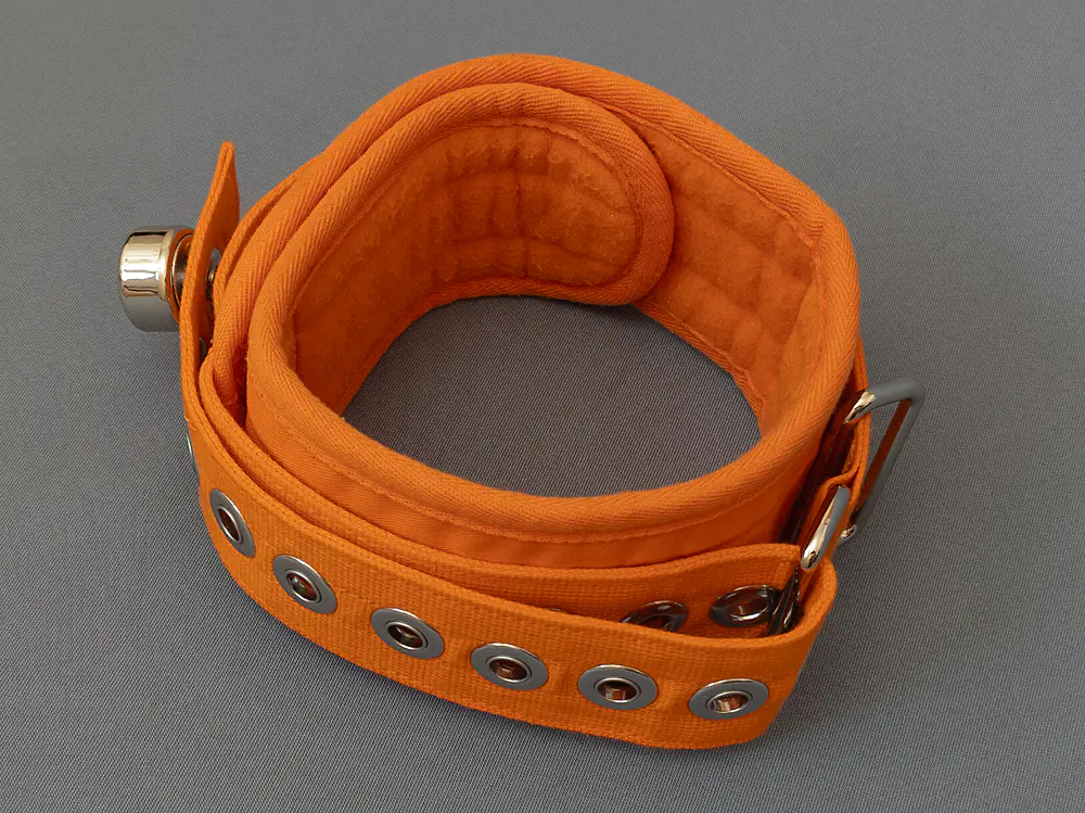 Ошейник (6/10)