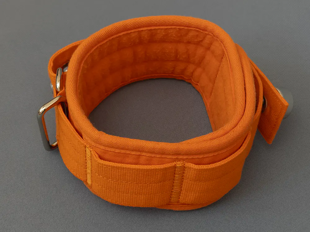 Ошейник (7/10)